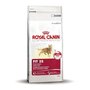 ROYAL-CANIN-FIT-32