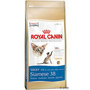 Royal-canin-Siamese