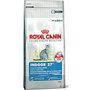 Royal-Canin-Indoor-27